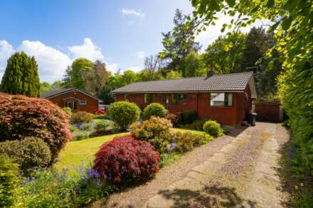 Cedar Court, Kilbarchan, Image 2