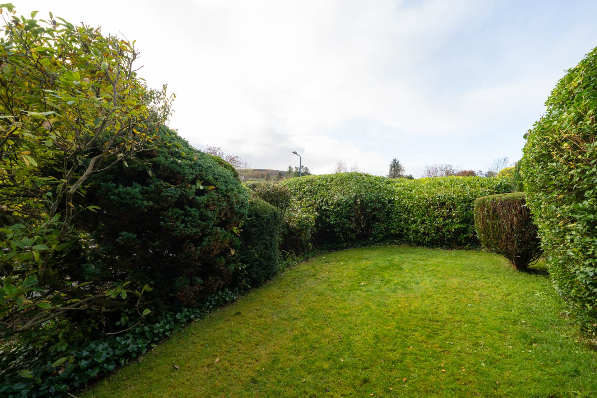 Pacemuir Lane, Kilmacolm, Image 19