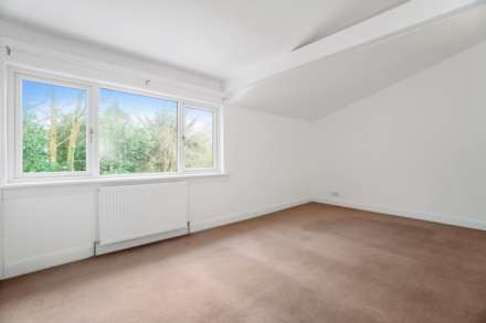 Linn Park Gardens, Johnstone, Image 9