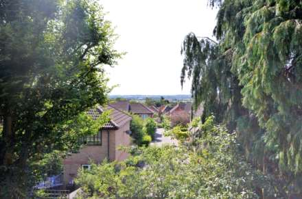 Selworthy Close, Billericay, Image 2