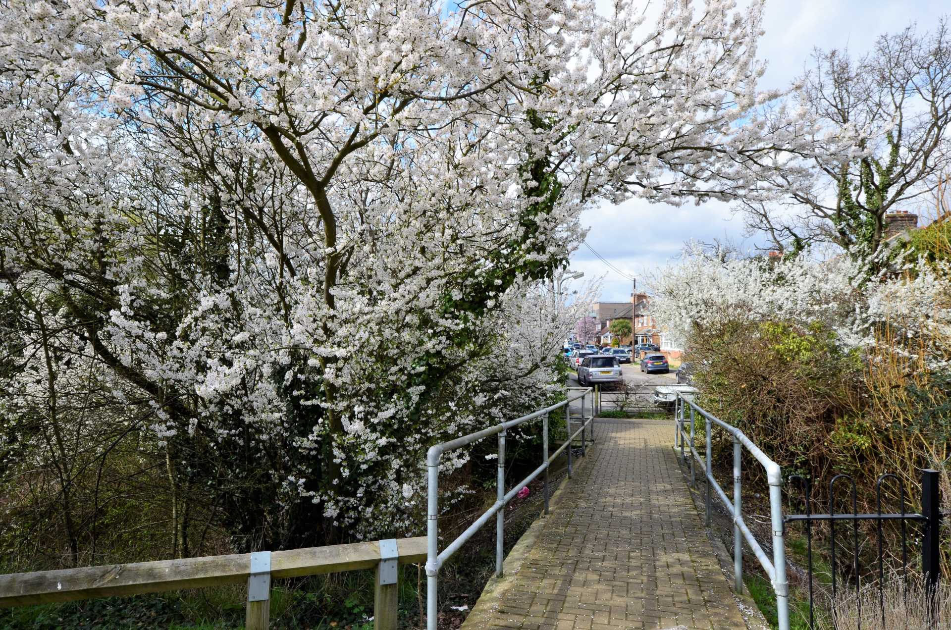 Ramsden Court, Golden Jubilee Way, Wickford, Image 12