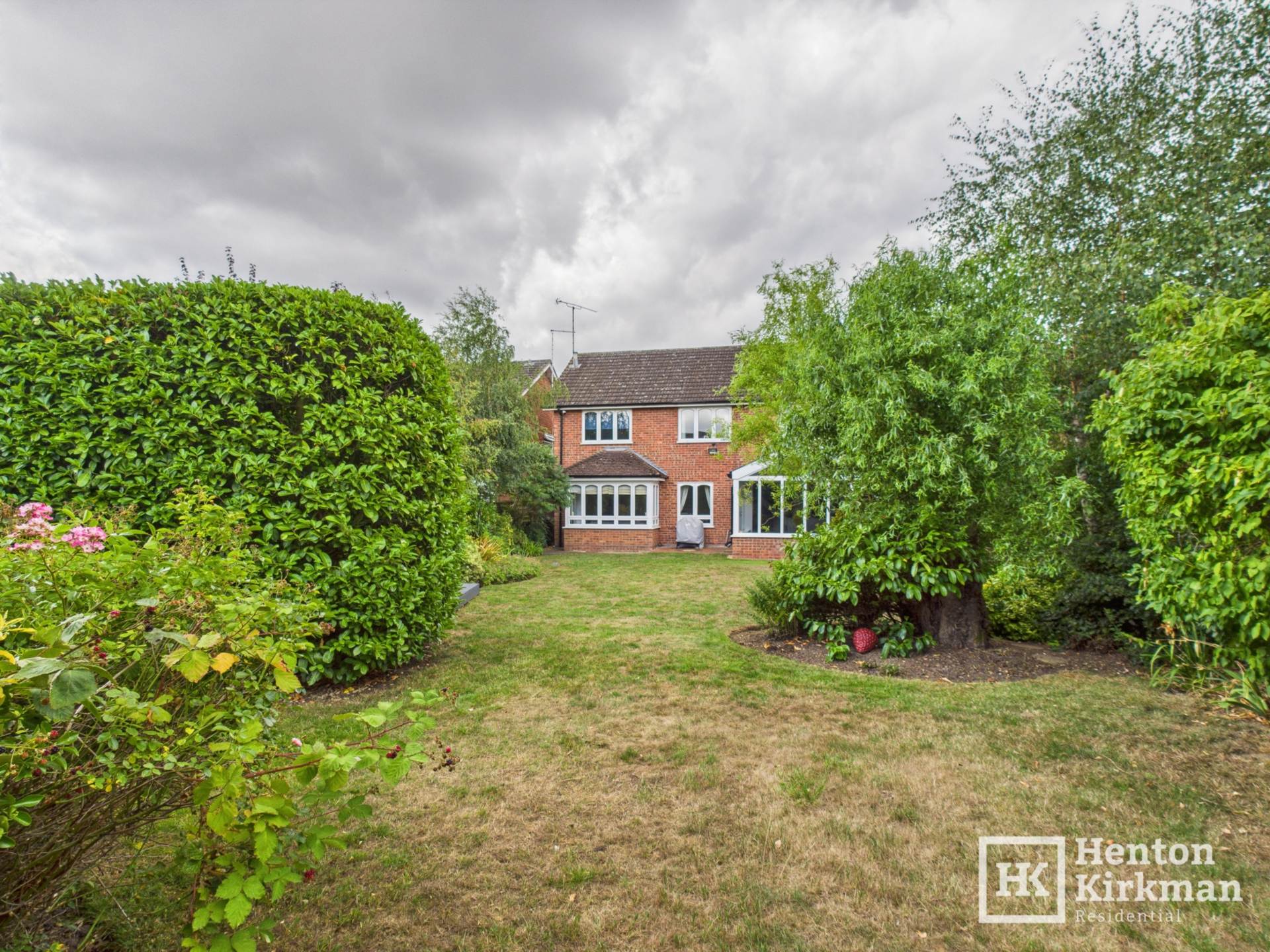 Bluebell Wood, Billericay, Image 2