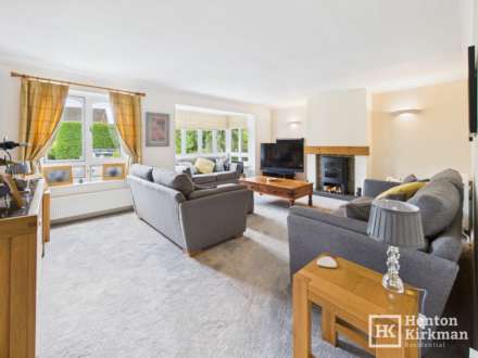 Bluebell Wood, Billericay, Image 10