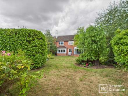 Bluebell Wood, Billericay, Image 2