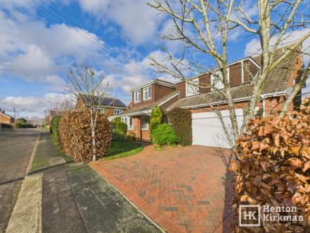 Bluebell Wood, Billericay, Image 29