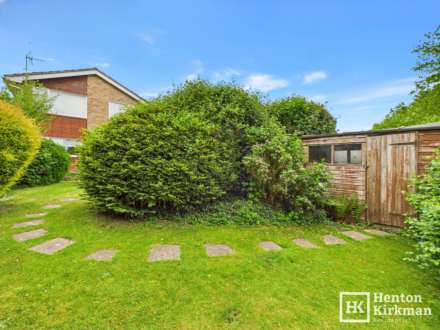 Longtail, Billericay, Image 3