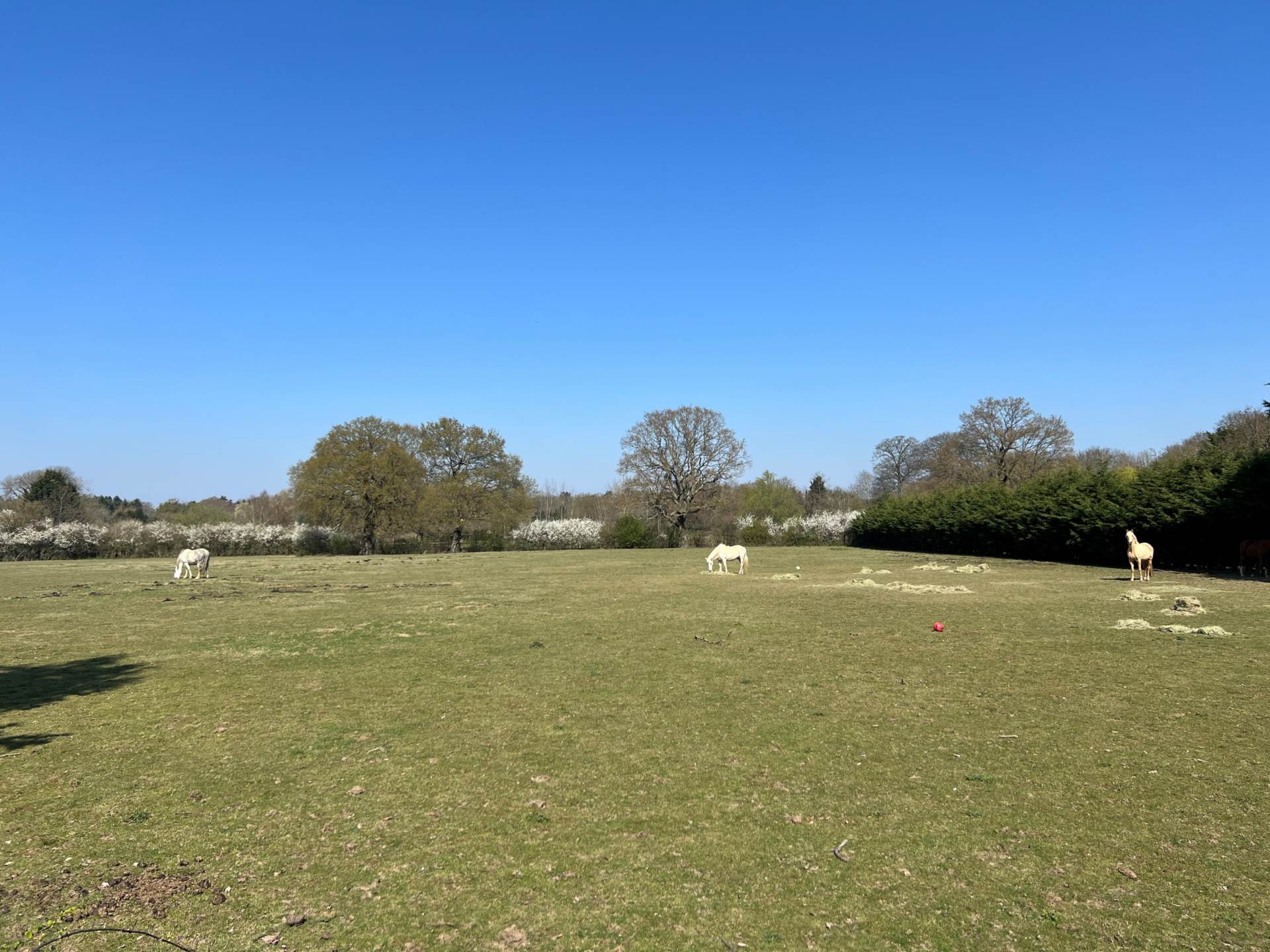 Coxtie Green Road, Brentwood, Image 4