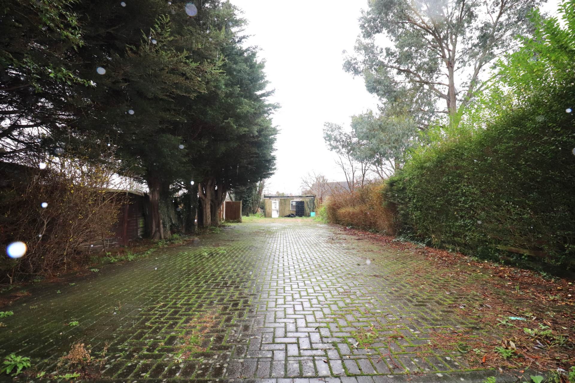 The Brent, Dartford, Image 16