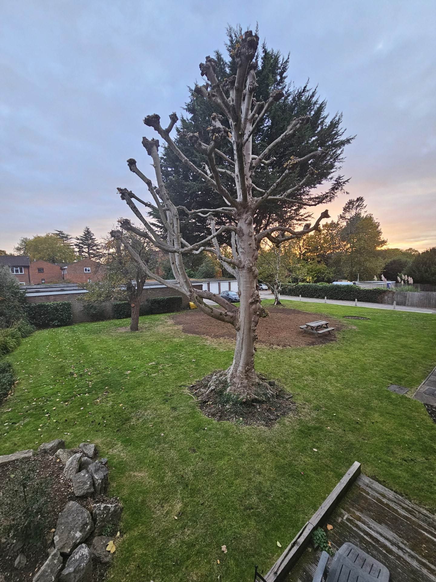 Foxgrove Road, Beckenham. Available mid-Sept, Image 7