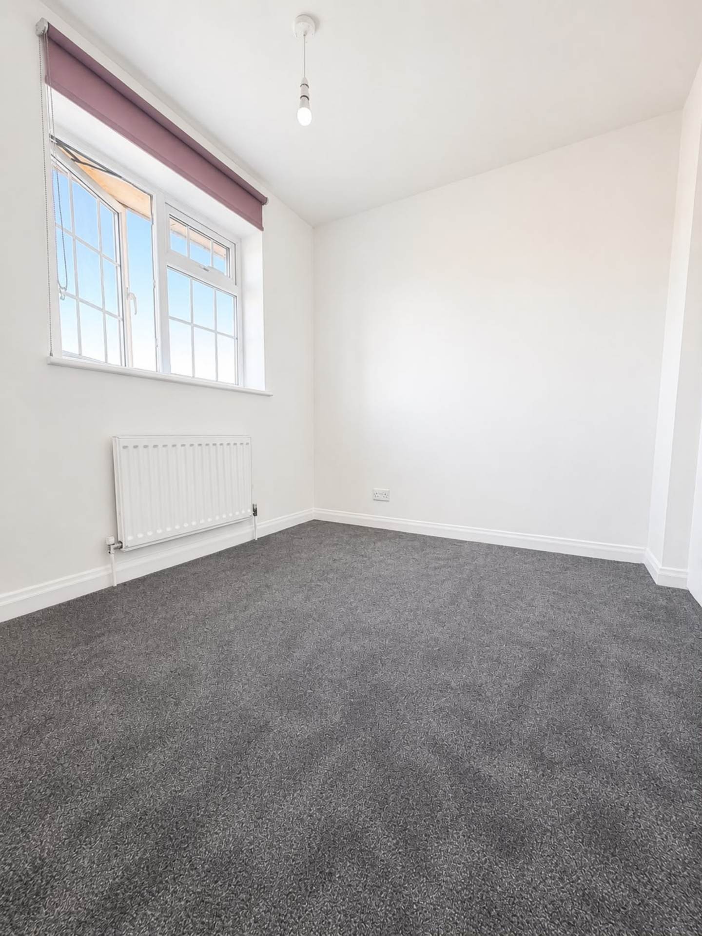 Thirlmere Rise, Bromley BR1, Image 12