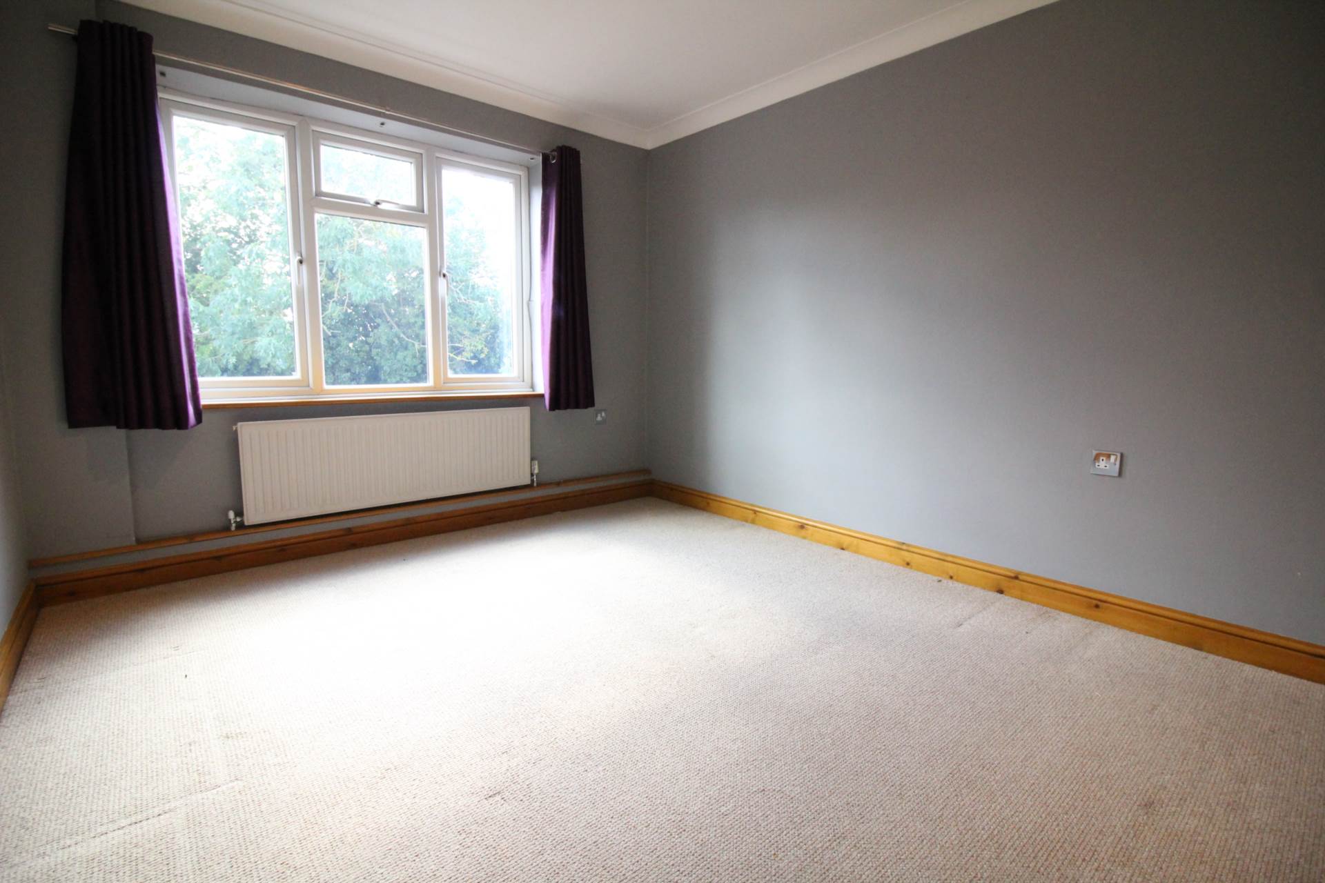 Orchard, Close, Image 5