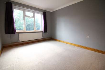 Orchard, Close, Image 5