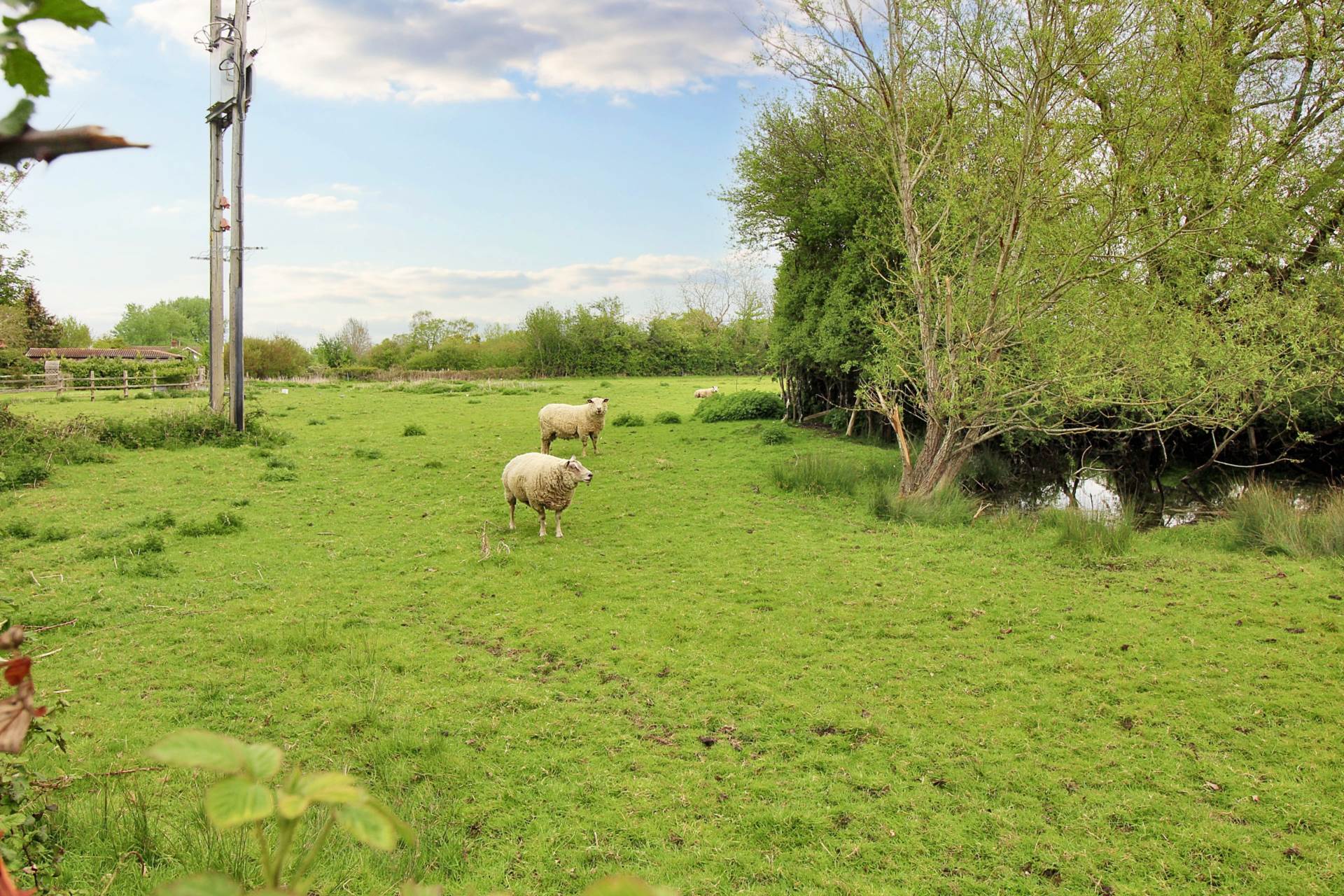 White Hart Close, Ludgershall, Image 2