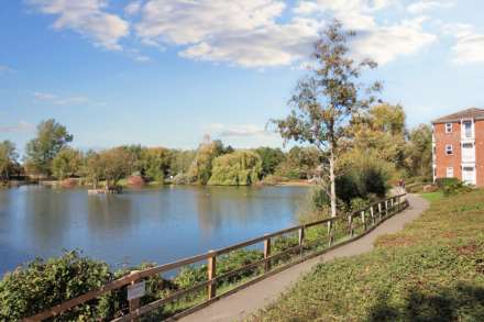 Guillemot Way, Aylesbury, Image 9