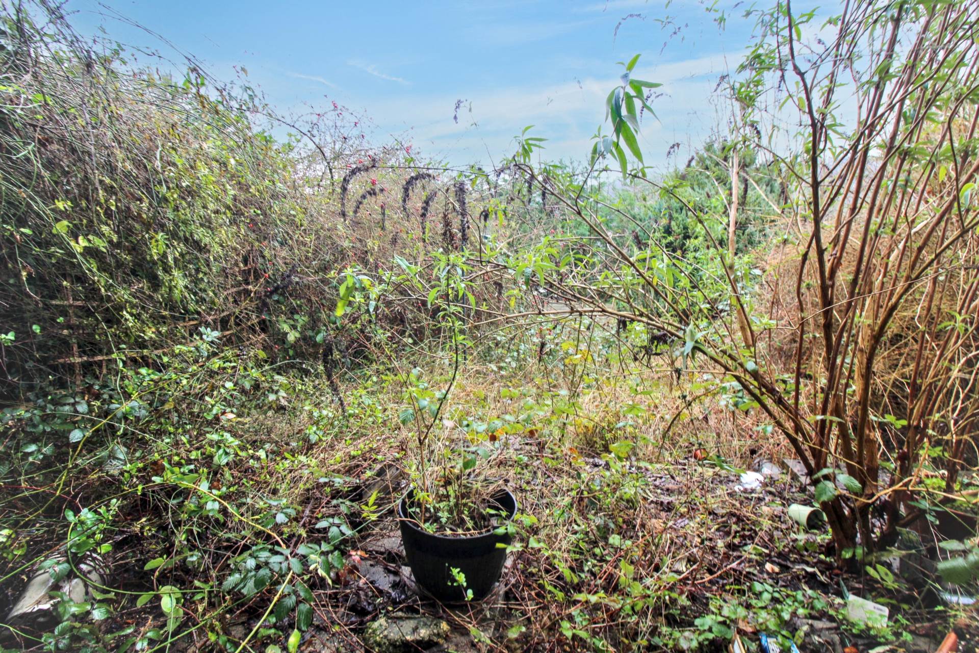 Tilling Crescent, High Wycombe, Image 7