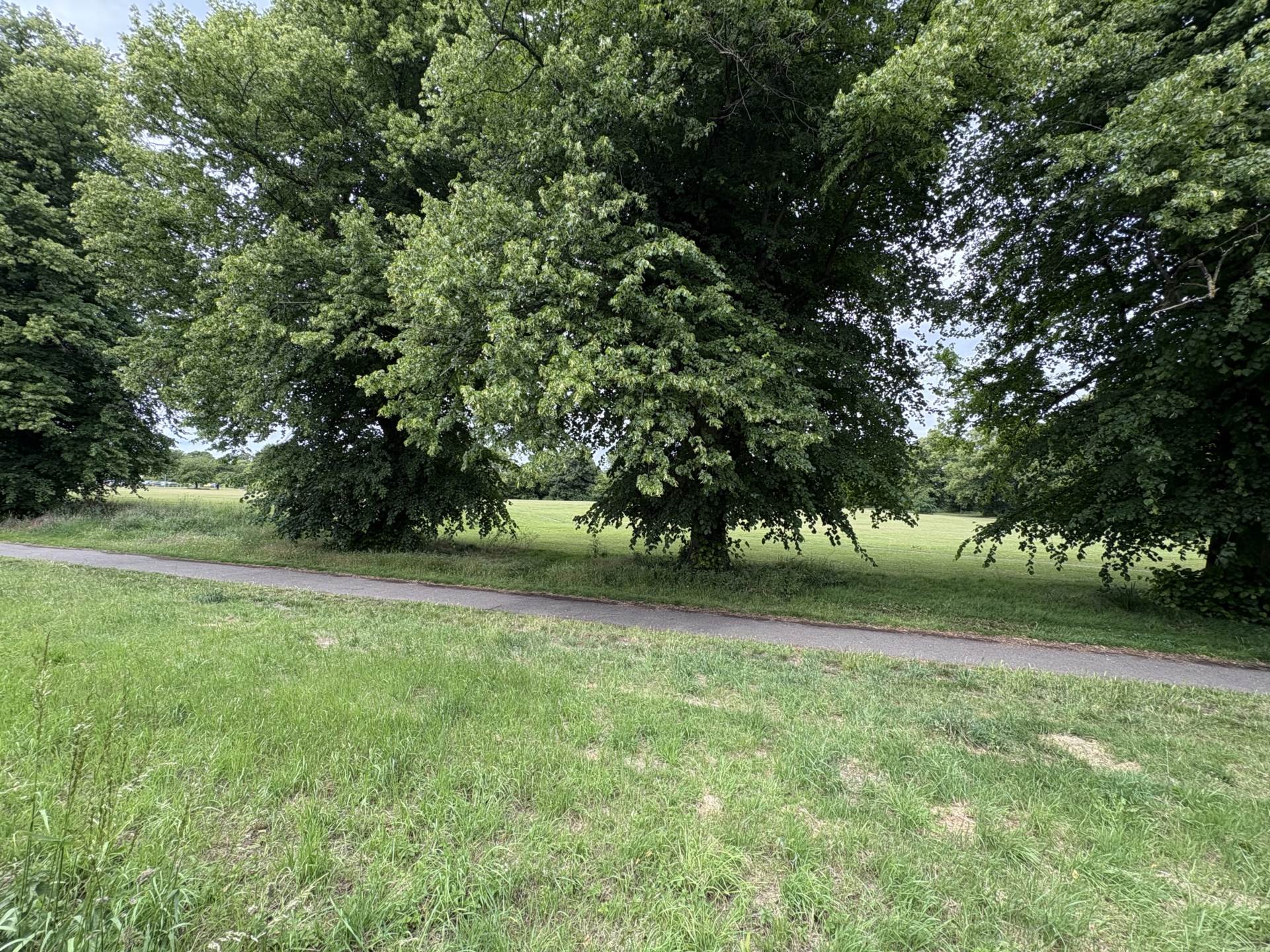 Palmer Park Avenue, Reading, Image 15