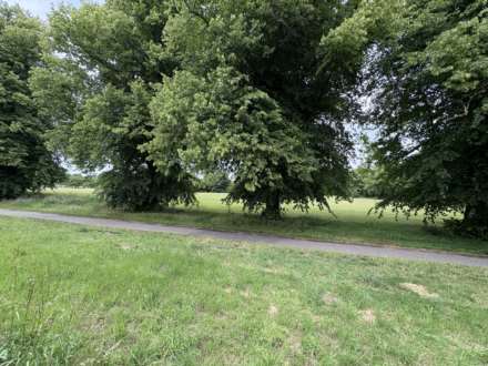 Palmer Park Avenue, Reading, Image 15