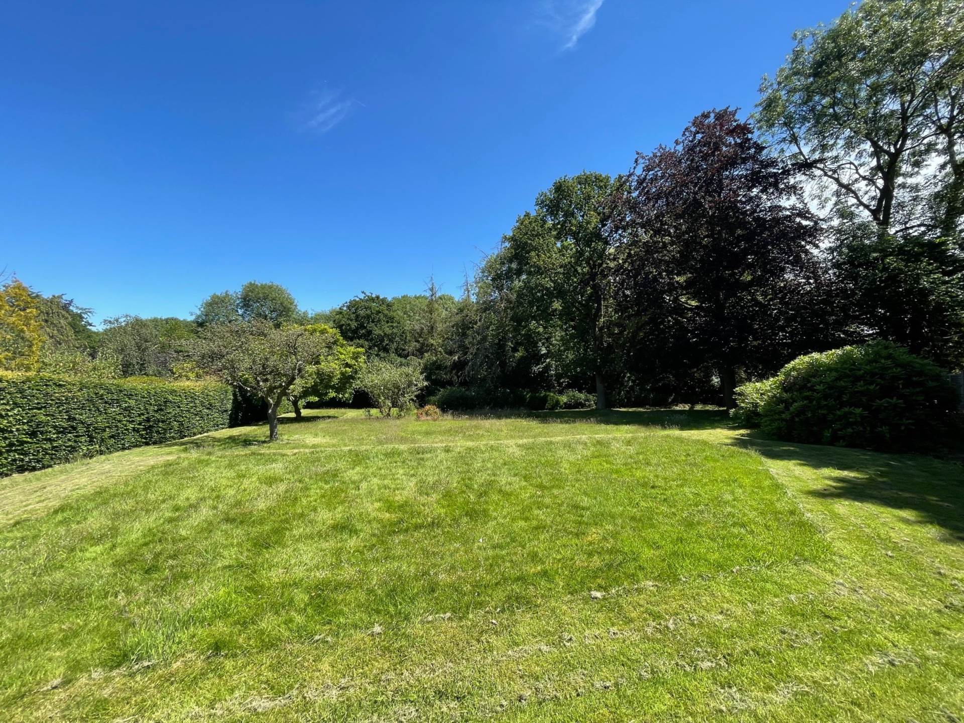 Beech Lane, Earley, Image 15