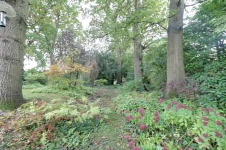 Maiden Erlegh Drive, Earley, Image 15