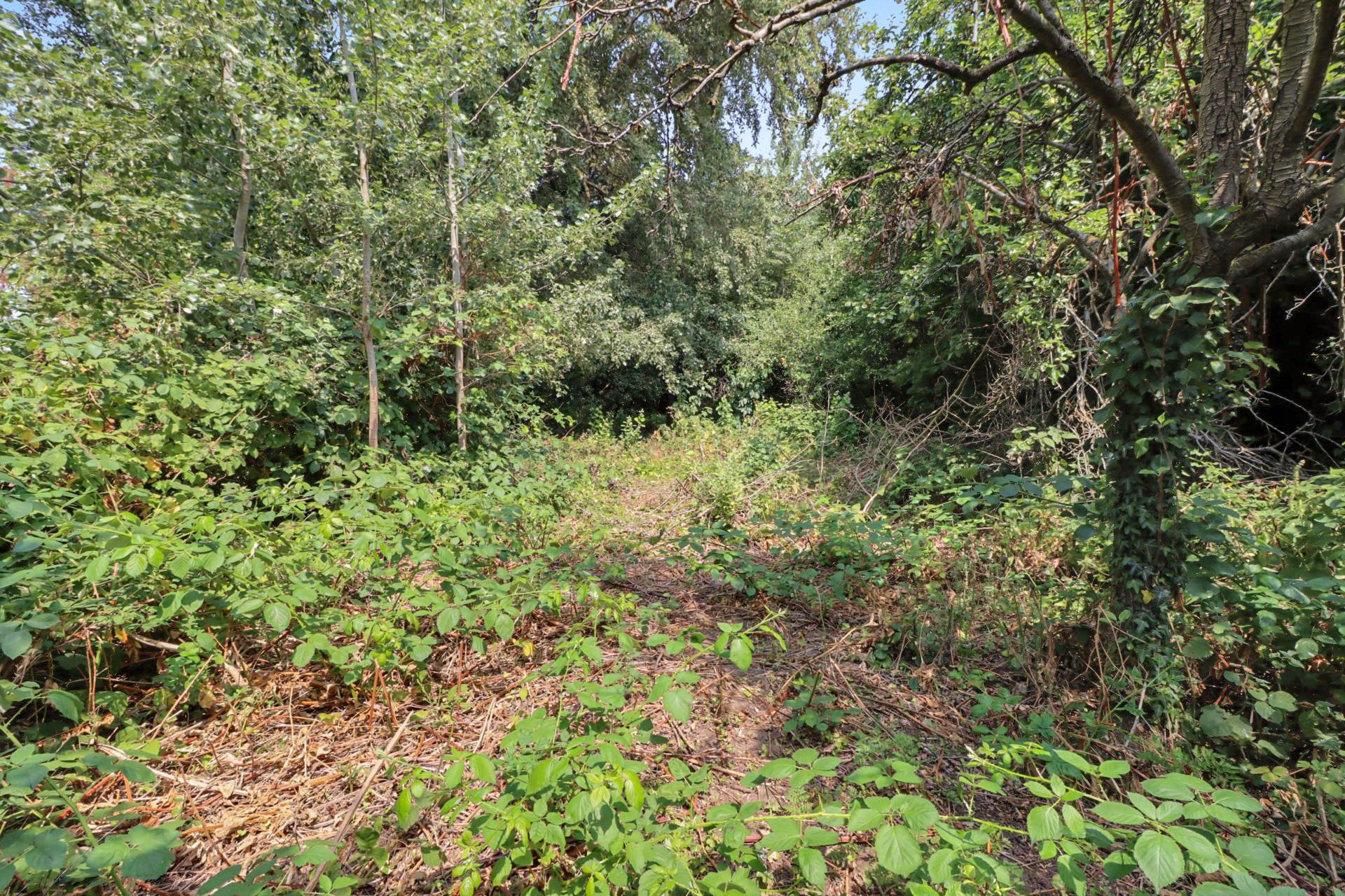 Erleigh Court Drive, Earley, Image 21