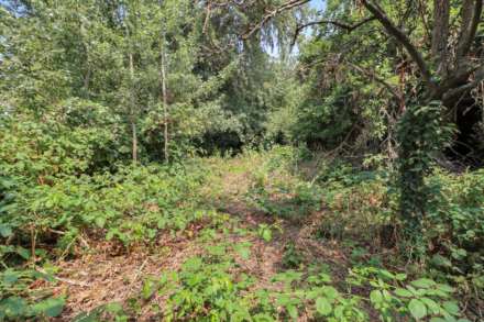 Erleigh Court Drive, Earley, Image 21