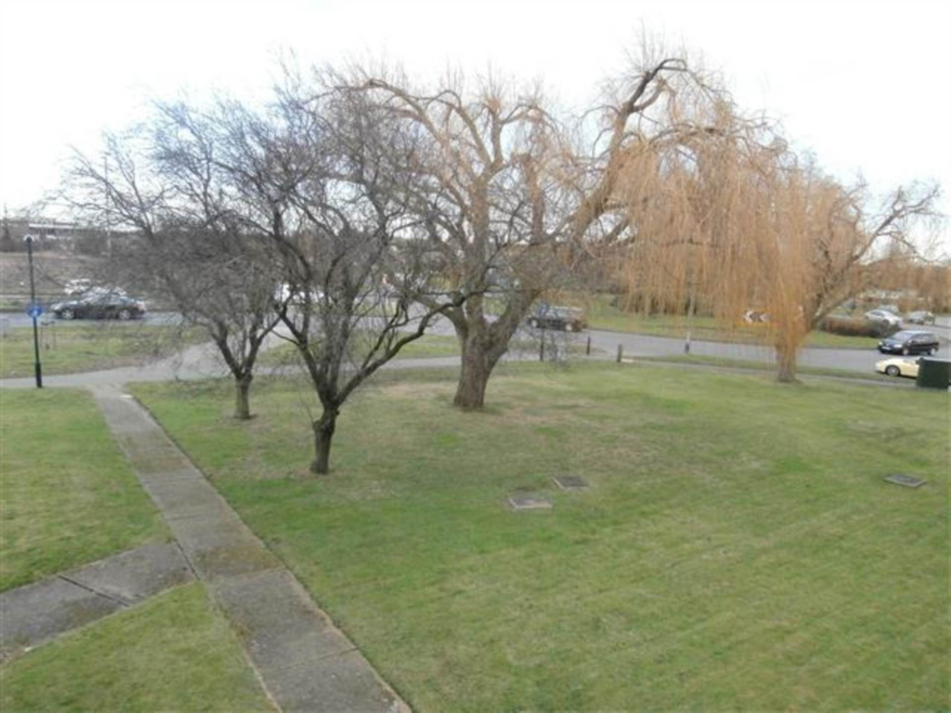 Northwycke, Southchurch Boulevard, SOUTHEND ON SEA, Image 12