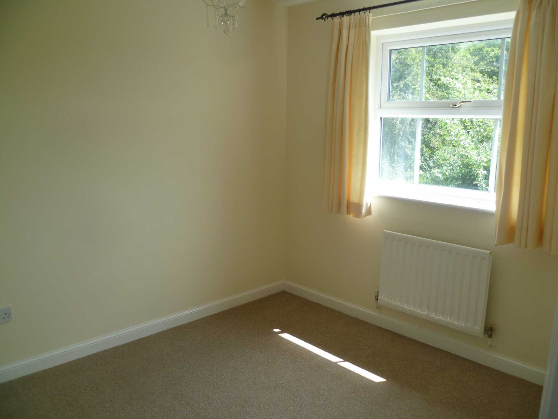 Alexander Drive, Lutterworth, Leicestershire, Image 11