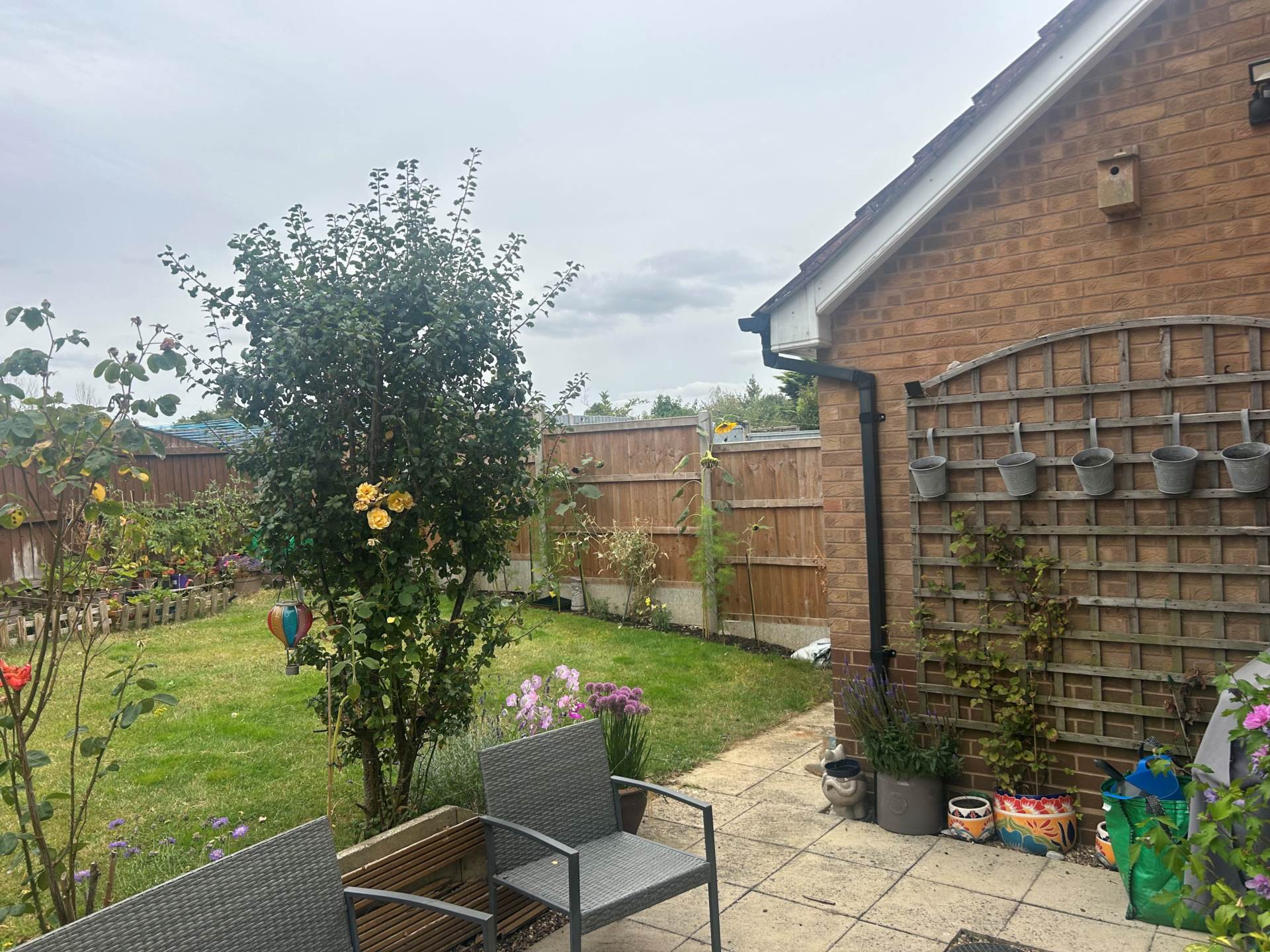 Alexander Drive, Lutterworth, Leicestershire, Image 14
