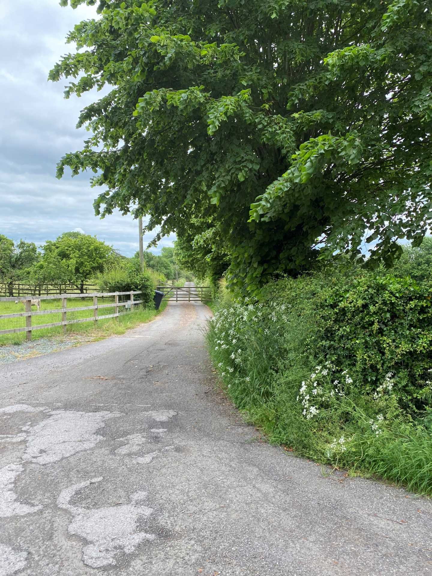 Pincett  Lane, North Kilworth, Image 4
