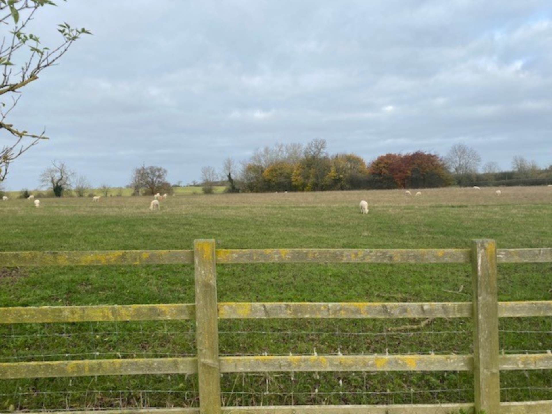 Pincett Lane, North Kilworth, Image 15