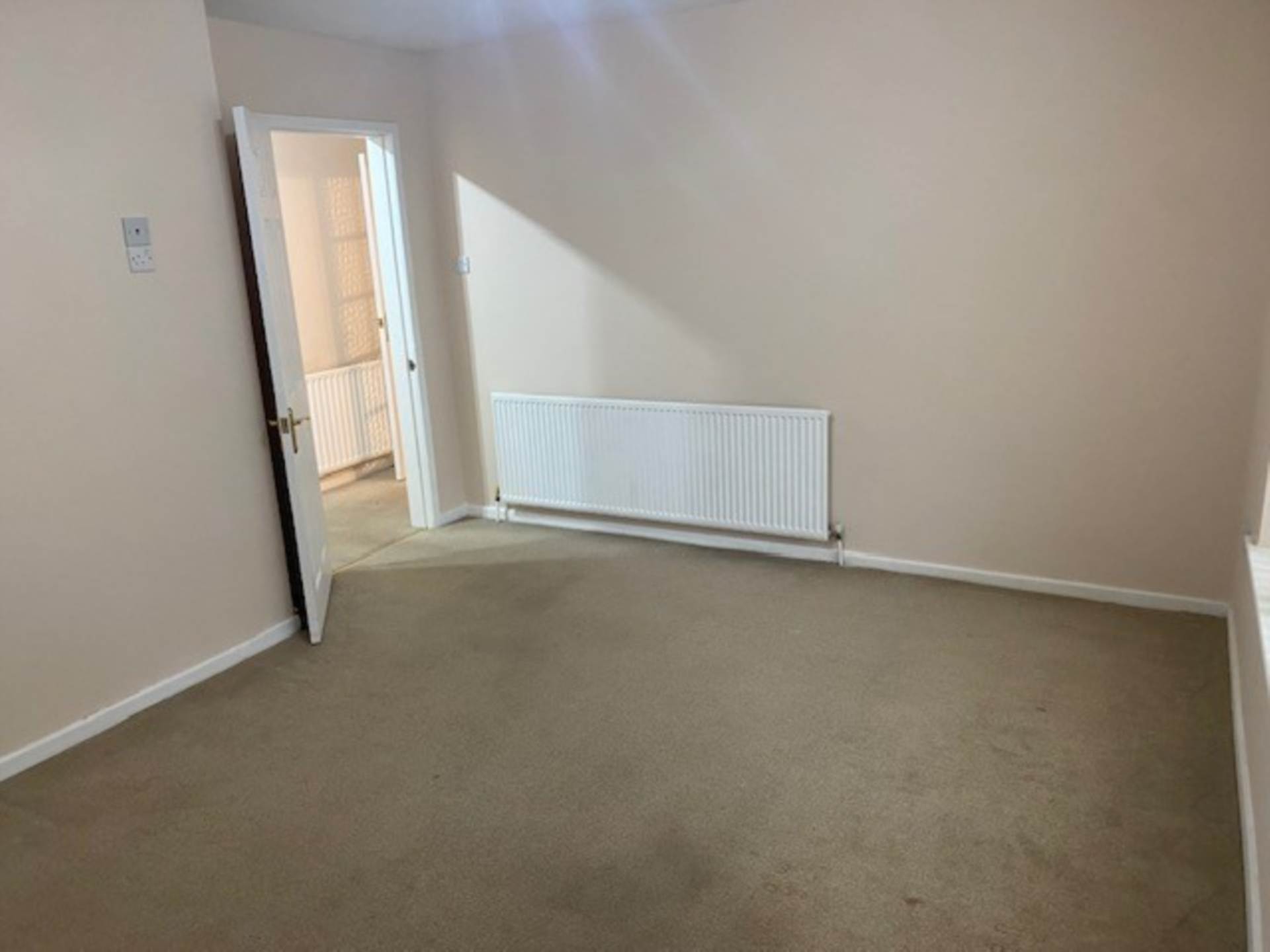 Chestnut, Lutterworth, Image 5