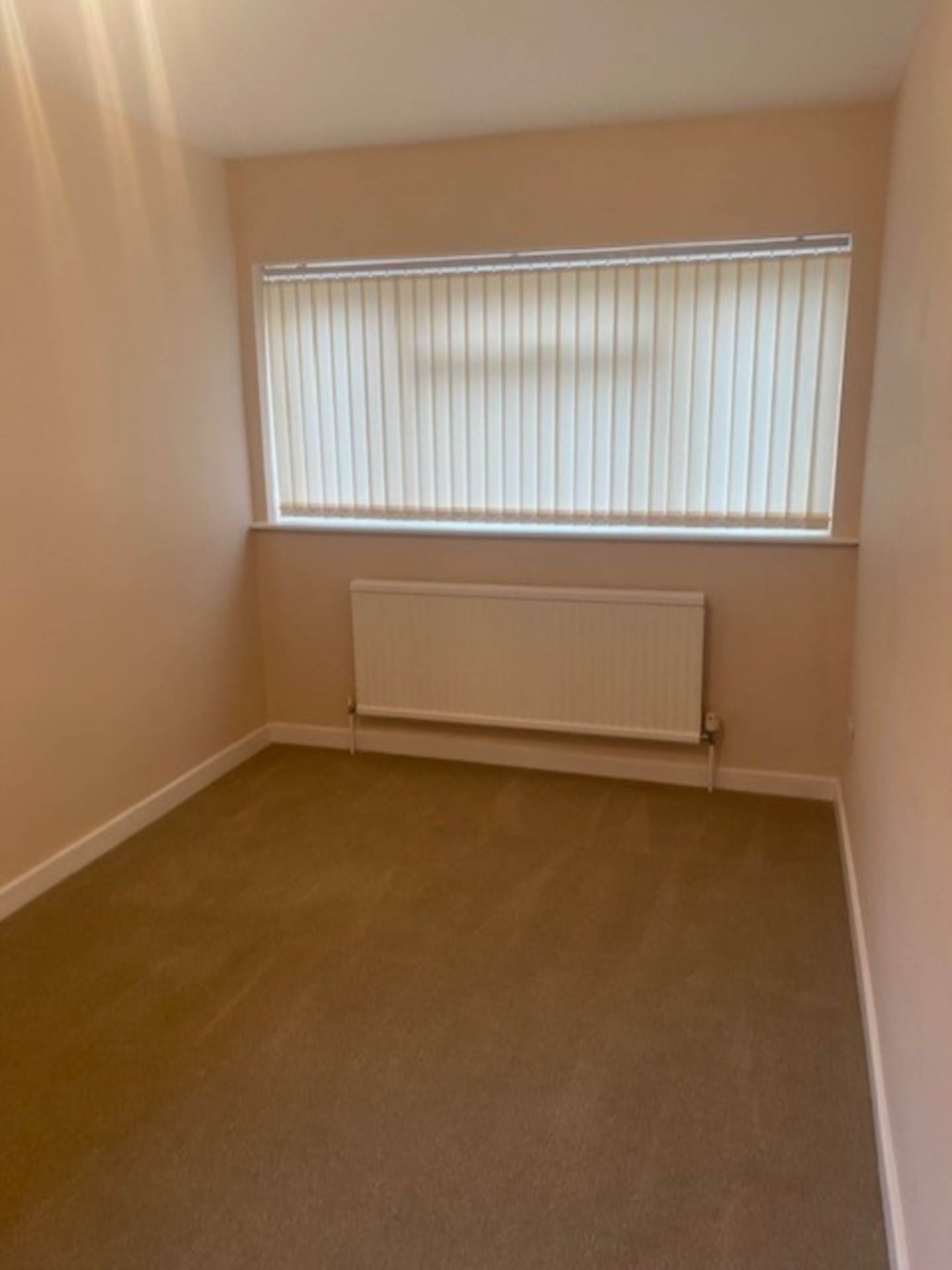 Chestnut, Lutterworth, Image 7