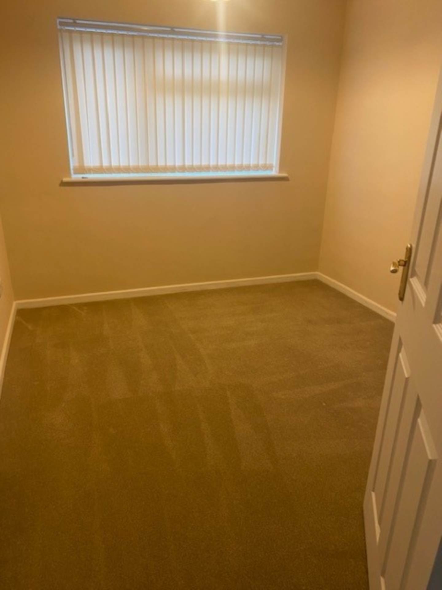 Chestnut, Lutterworth, Image 8