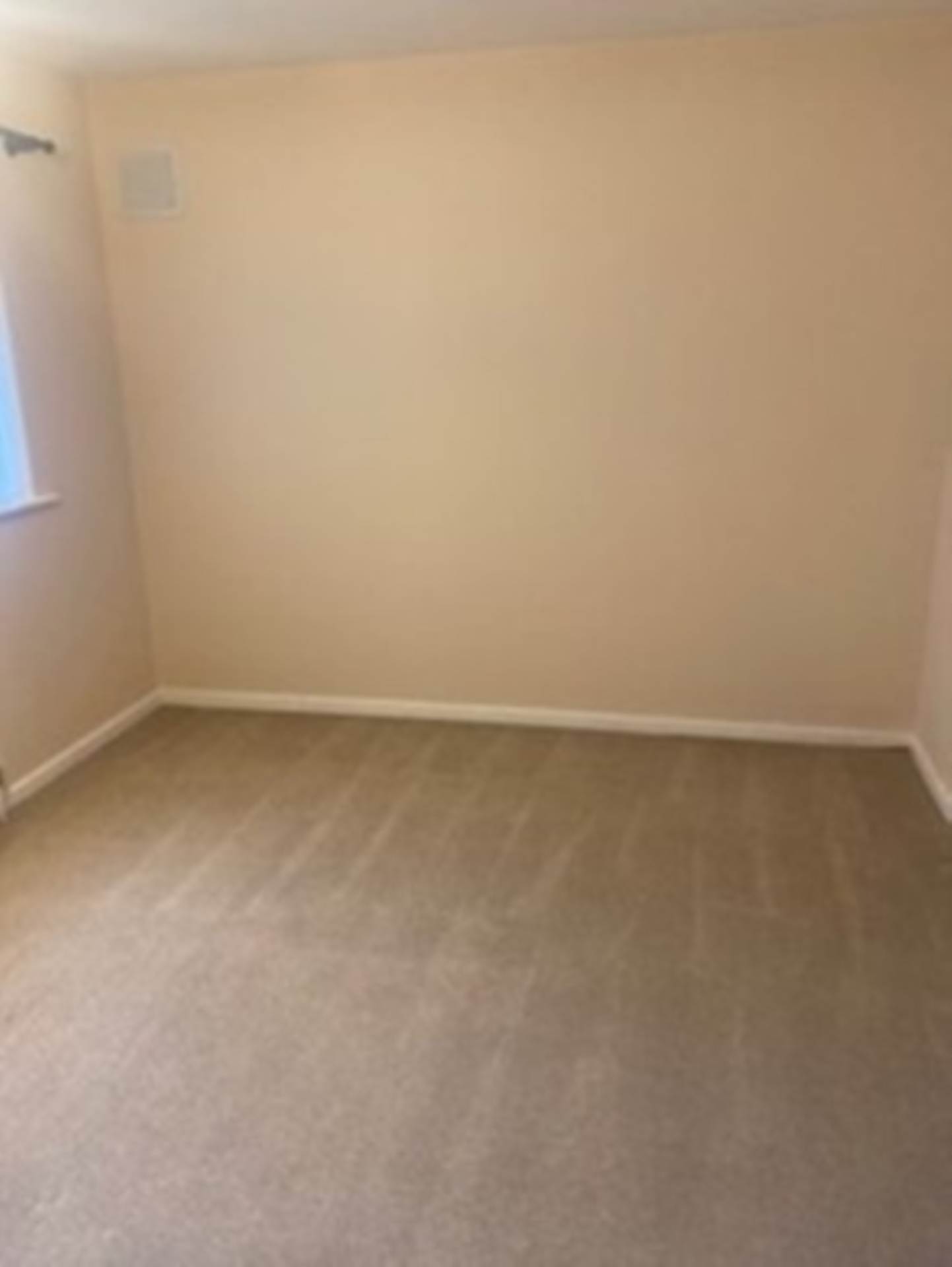 Chestnut, Lutterworth, Image 9