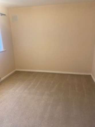 Chestnut, Lutterworth, Image 9