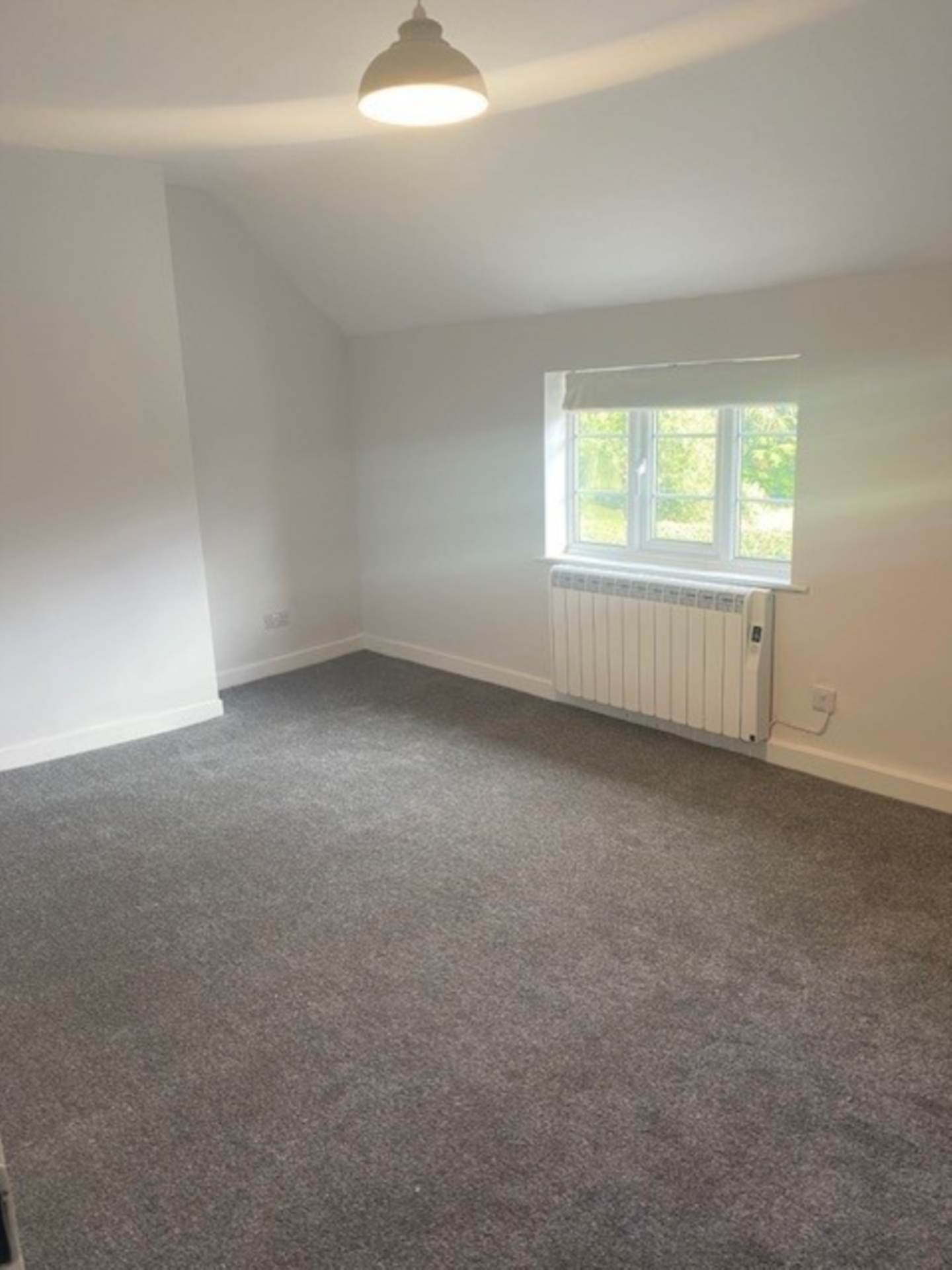 Main Street, Willey, Image 10