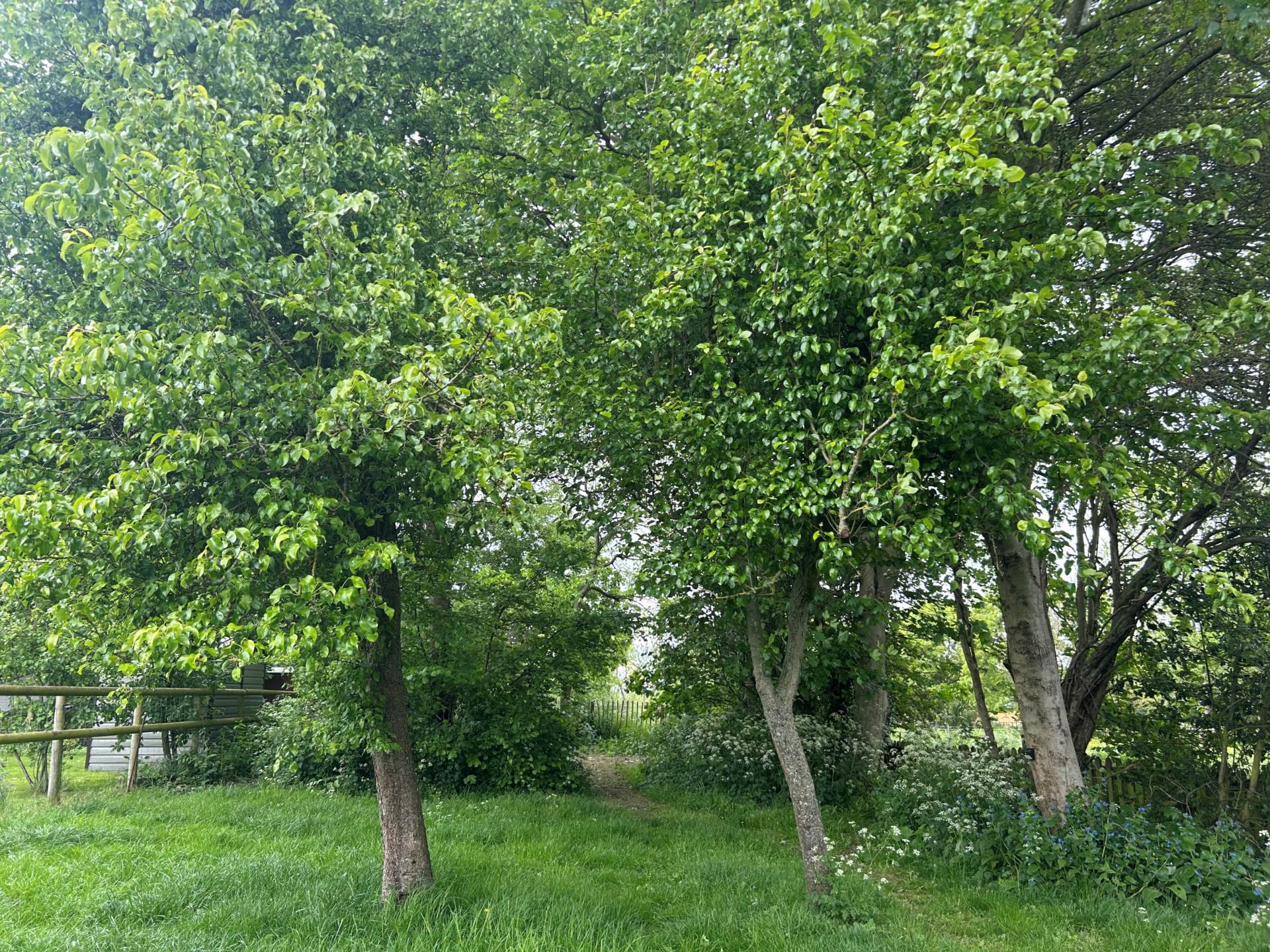 Brockhurst Lane, Monks Kirby, Image 22