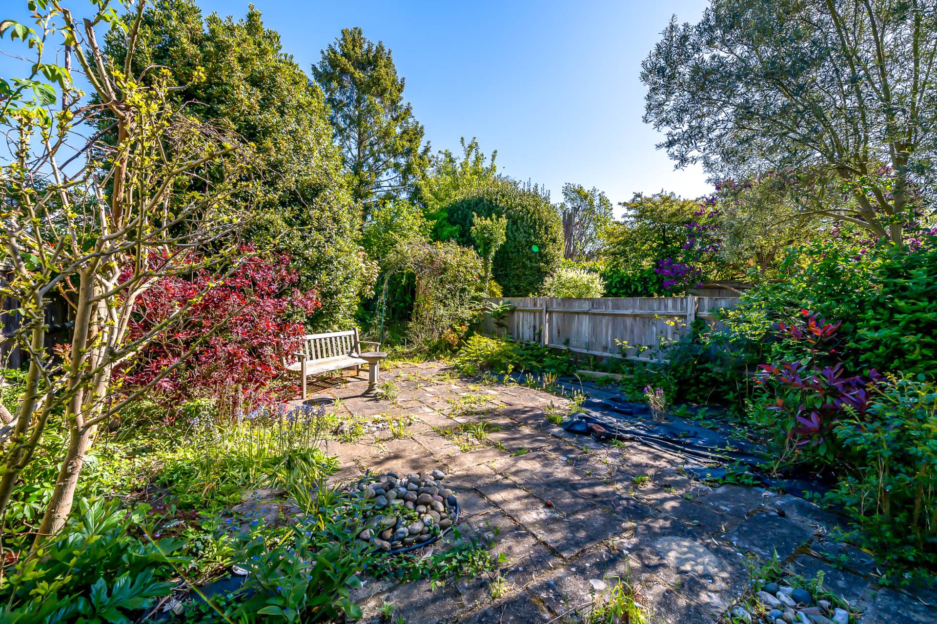 Court Lane, Dulwich, SE21, Image 7