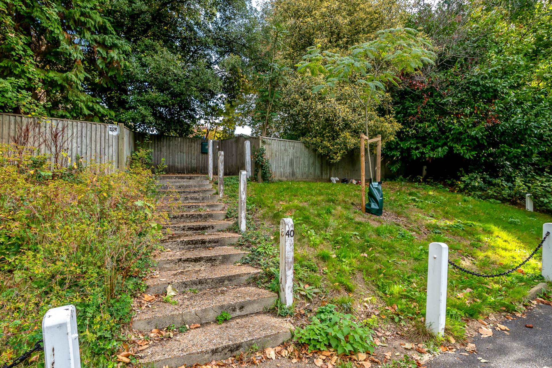 Village Way, North Dulwich, SE21, Image 13