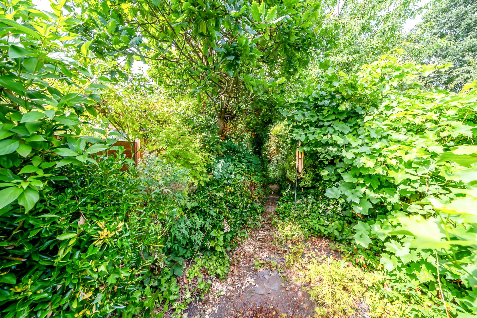 Woodwarde Road, Dulwich, SE22, Image 10