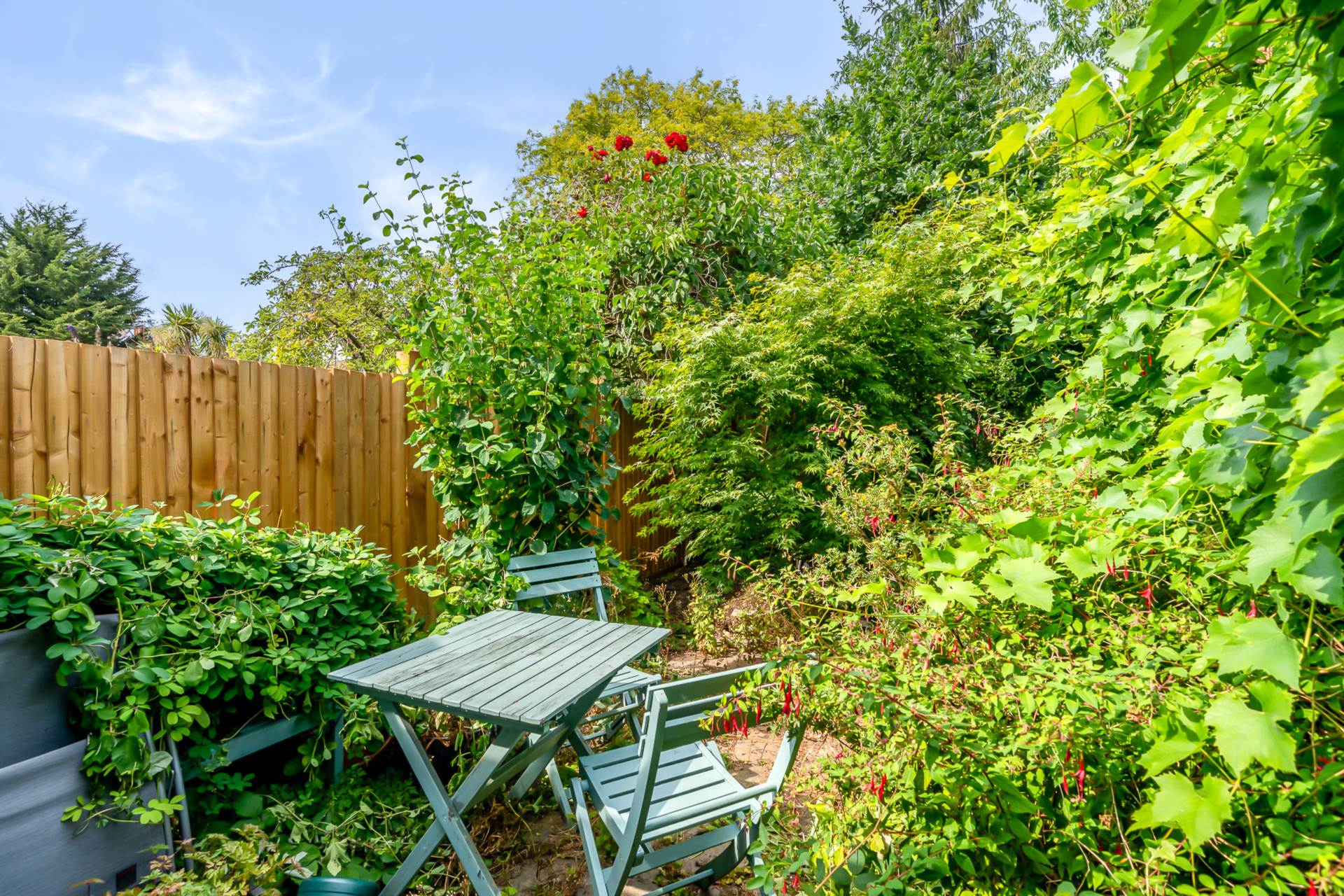 Woodwarde Road, Dulwich, SE22, Image 9