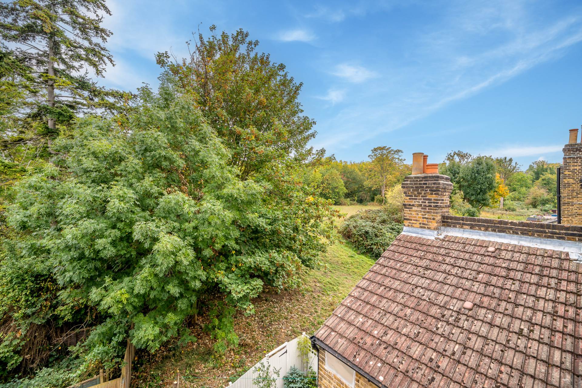 Ryedale, East Dulwich, SE22, Image 16