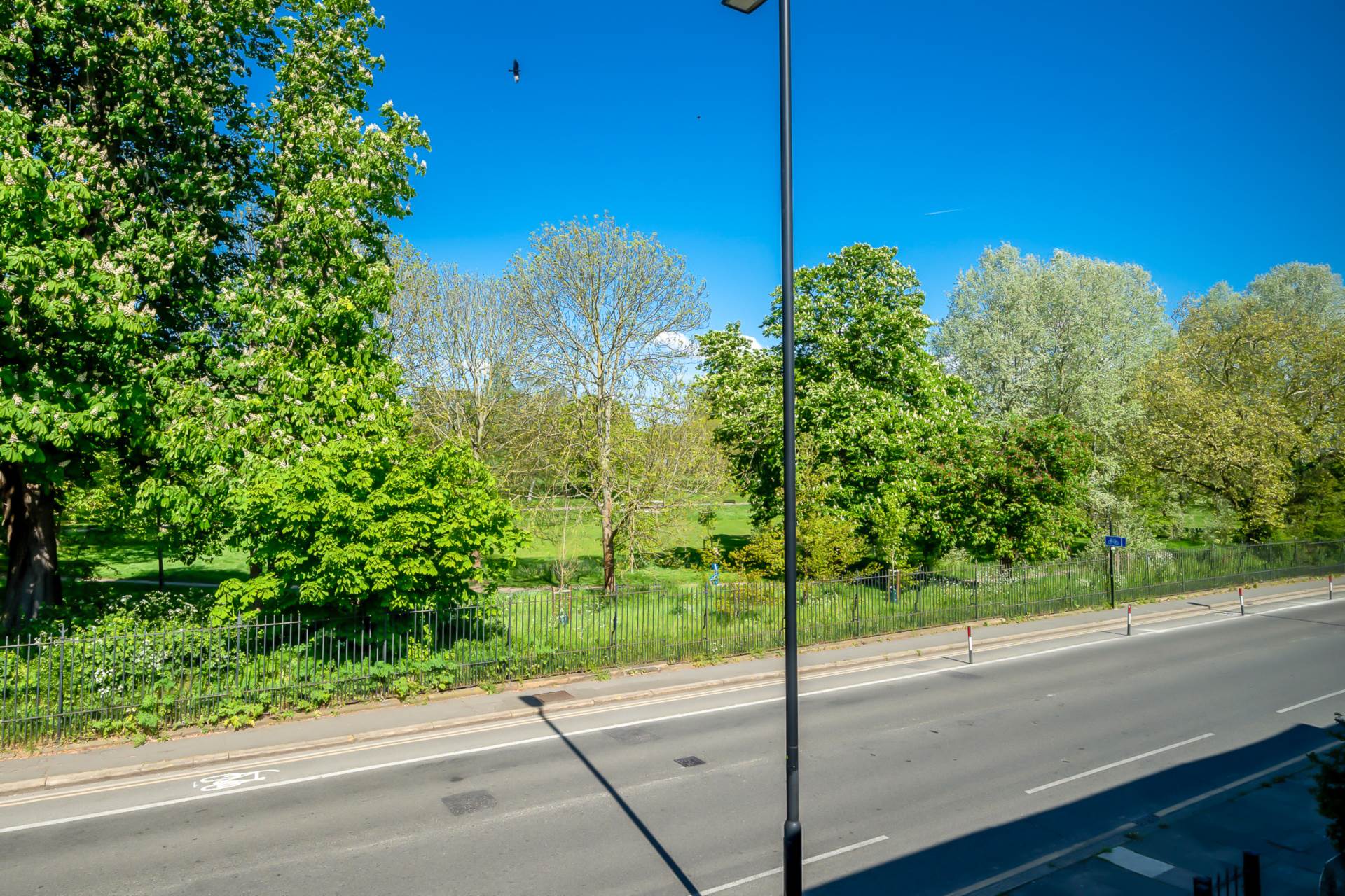 Norwood Road, Herne Hill, SE24, Image 22