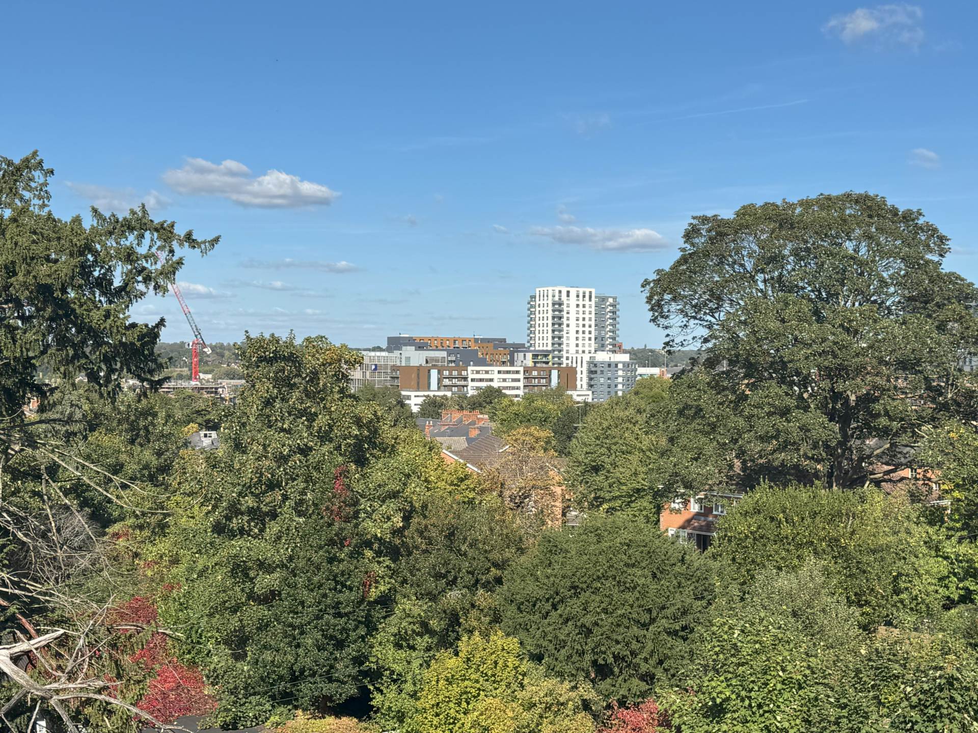 Castle Hill, Reading, Image 9