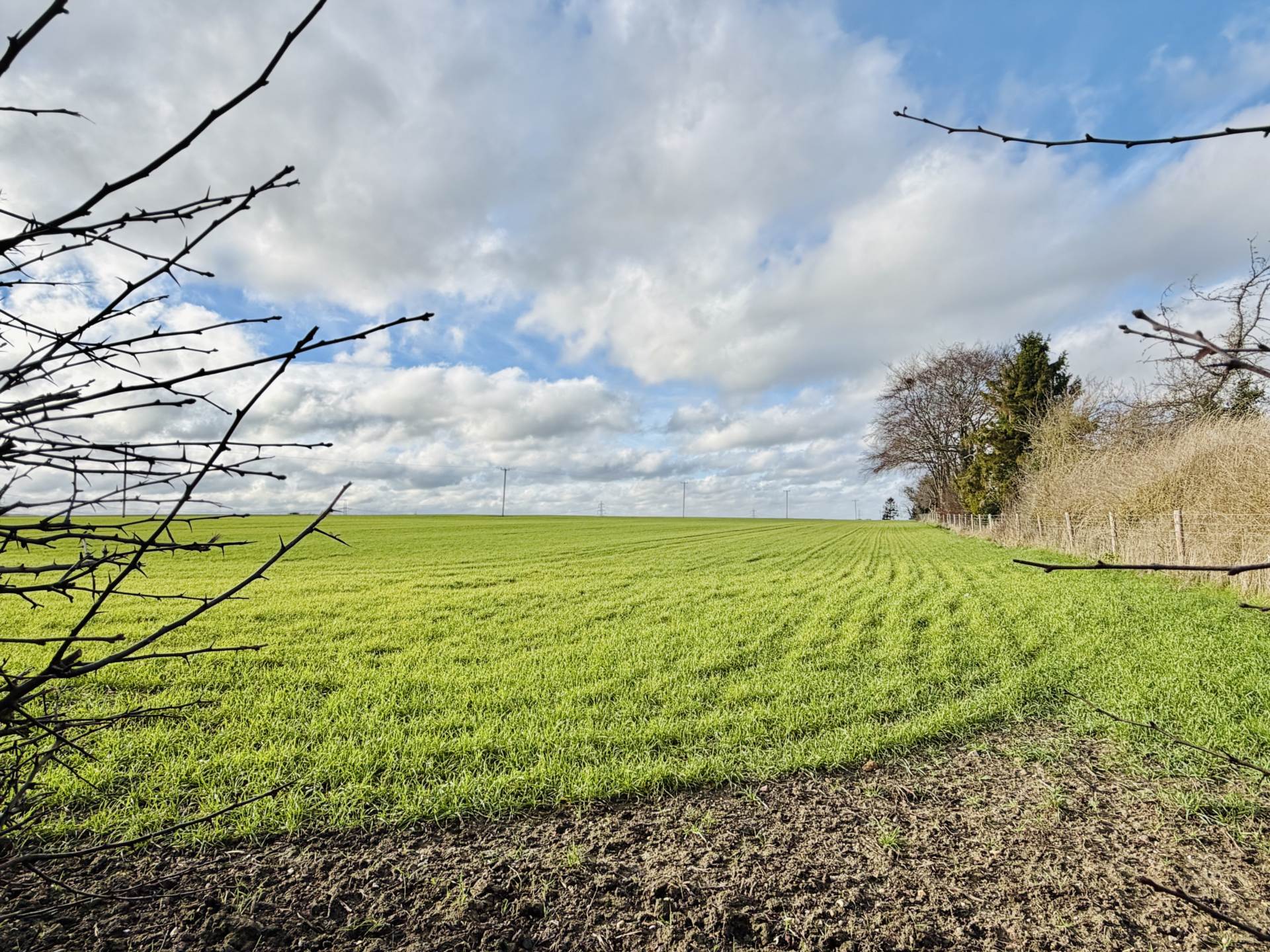 Abbots Mead, Cholsey, Image 20