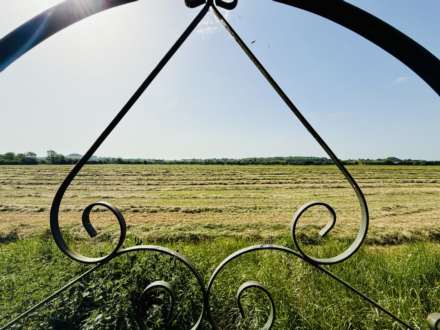 Saxons Heath, Long Wittenham, Image 13