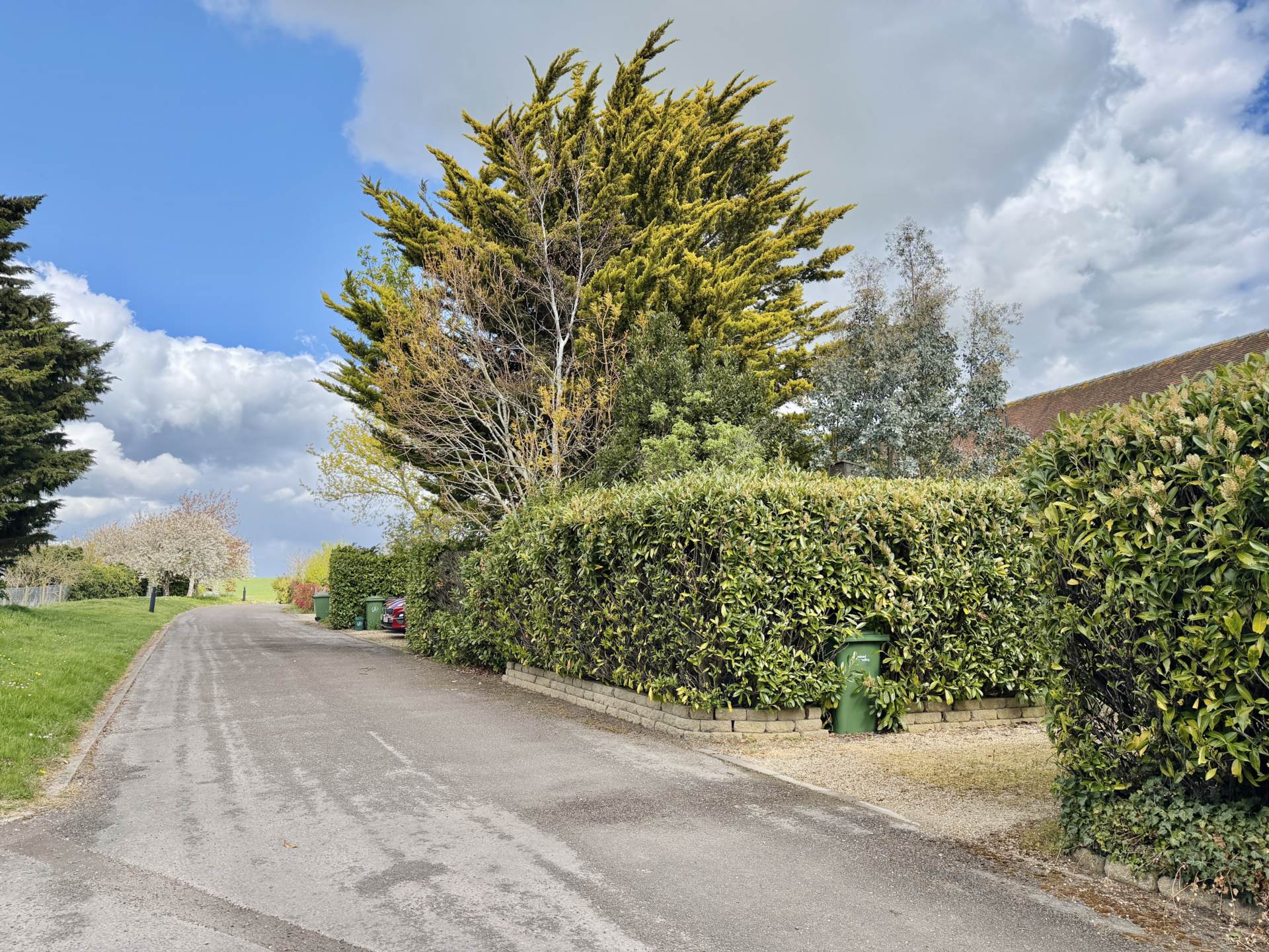 Fifield Barns, Benson, Image 24