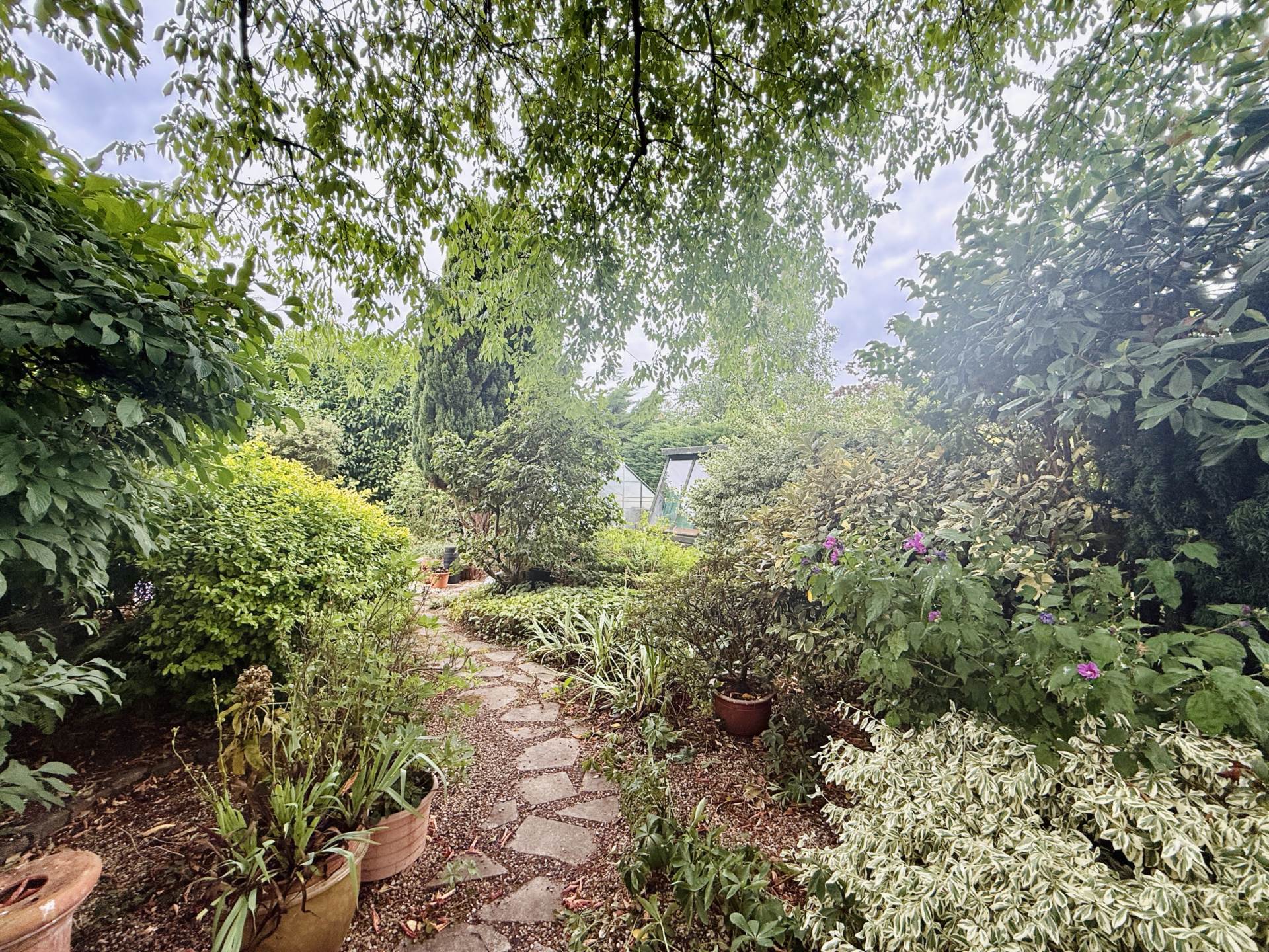 Fir Tree Avenue, Wallingford, Image 9
