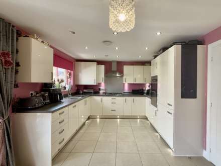 Guelder Rose, Didcot, Image 4