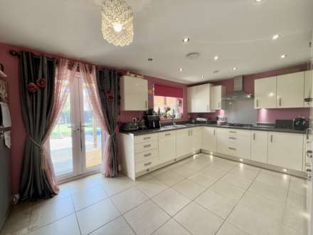 Guelder Rose, Didcot, Image 5